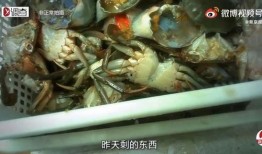 胖哥俩肉蟹爆料视频在线观看